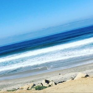 Meet your Posher, Angelina